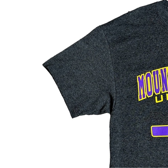 CHAMPION T-shirt Mount St. Mary's Scoop neck Heathered gray S/S NURSING Large - Picture 6 of 10